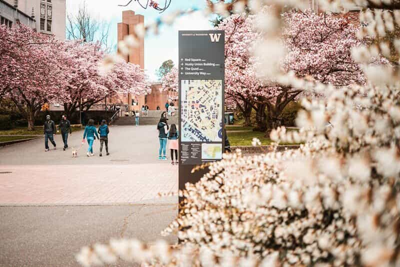 An image of directional signage outside in a park/campus.